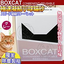 【🐱🐶培菓寵物48H出貨🐰🐹】(免運)國際貓家BOXCAT》灰標極速凝結小球砂12L/箱 共2箱 特價680元