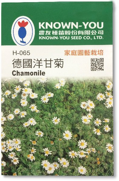 ～全館滿790免運～德國洋甘菊~Chamonile 種子-約500粒【熊森活】