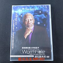 [藍光先生DVD] 摩根費里曼之穿越蟲洞 : 演化新未來 Through the Wormhole with Morgan Freeman ( 采昌正版 )