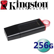 Kingston 金士頓 256GB DataTraveler Exodia DTX USB3.2 隨身碟 256G