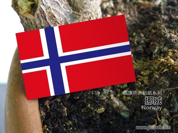 【衝浪小胖】挪威國旗長形登機箱貼紙／抗UV防水／Norway／各國家、多尺寸均有販售