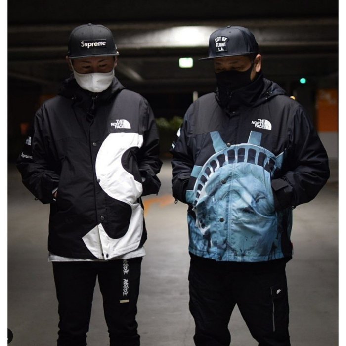 Supreme The North Face S Logo Mountain Jacket FW20 大S