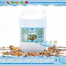 【魚店亂亂賣】理康Likon硝化菌4000ml硝化淨水劑(水質快速培菌)4L