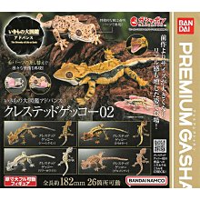 全套4款 生物大圖鑑 進擊 睫角守宮 P2 扭蛋 轉蛋 王冠守宮 動物模型 BANDAI 萬代 日本正版【209061】