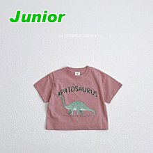 JS~JM ♥上衣(INDI PINK) VIVID I-2 24夏季 VIV240429-642『韓爸有衣正韓國童裝』~預購