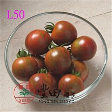 【野菜部屋~】L50 209條紋蕃茄種子10粒 , 圓型條紋蕃茄 , 紫色帶綠色條紋 , 蕃茄味道濃郁 , 每包15元~