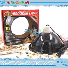 【魚店亂亂賣】美國ZOO MED陶瓷夾燈L號25cm(附吊夾)爬蟲、二棲類專用(E27規格)燈罩