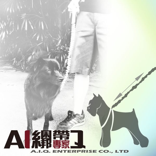 A.I.Q.綑綁帶專家- LT2312 彈性伸縮狗牽繩  黑色 10mm x 50~100cm (小型犬專用)