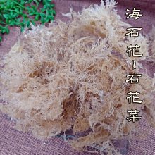 海石花 石花凍 石花菜  海石花菜 海底燕窩 100克 植物膠質 寒天草 現貨 【全健健康生活館】