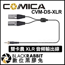 數位黑膠兔【 Comica 科唛 CVM-DS-XLR 雙卡農 XLR 音頻輸出線 】 立體聲 雙XLR 分接線 轉接線