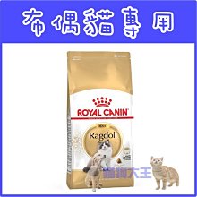 **貓狗大王**皇家 RD32 布偶貓----2公斤