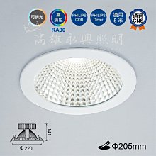 舞光 45W黑鑽石崁燈(崁入孔20.5cm) LED-21DOD45D 高雄永興照明~