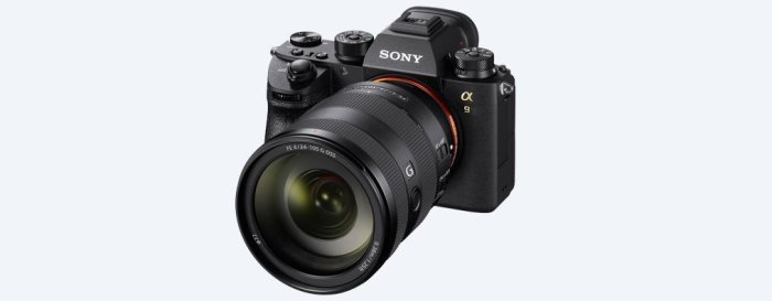 彩色鳥(租 相機 鏡頭) 租SONY A7R IV 10連拍 5.5級防手震  A7RM4 5DSR 出租