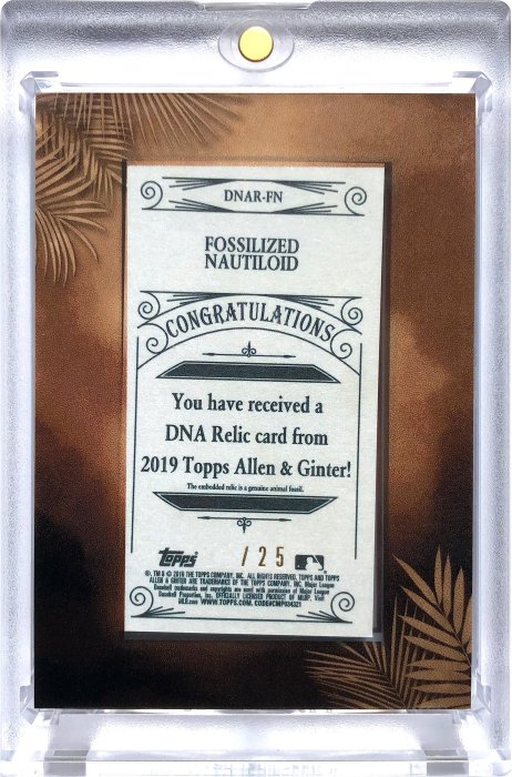 珍貴罕見～2019 TOPPS A&G DNA Relic 限量25張鸚鵡螺化石卡～