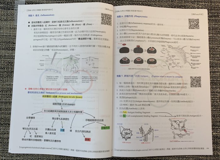 🔥【2023年最新整理-微生物免疫學全套(含全程自製彙整筆記+考古題詳解+補充資料】插大轉學考/研究所/高普考參考專用