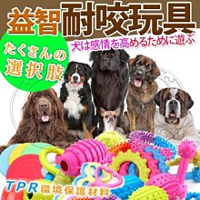 【🐱🐶培菓寵物48H出貨🐰🐹】dyy》益智耐咬玩具-B 特價49元(蝦)