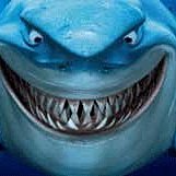 微笑的魚水族☆美國Disney迪士尼【海底總動員背景圖  NMBG5 鯊魚布魯斯】