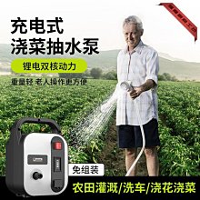 德國芝浦充電式抽水泵淋菜澆菜神器澆水機新型農用澆地灌溉神器-騰輝創意