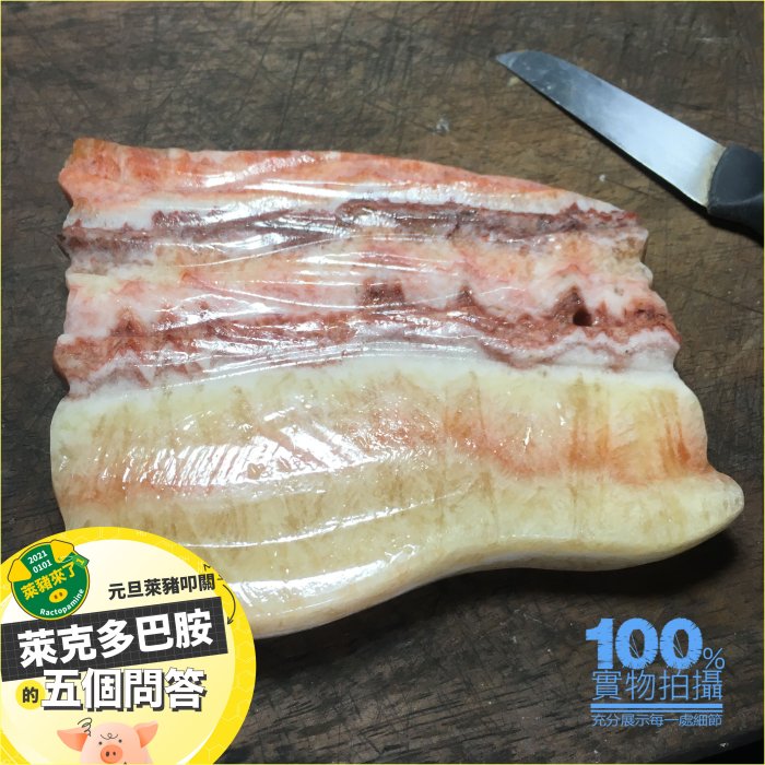 媲美故官鎮館寶 肉形石 豬肉石 東坡肉 五花肉 彩霞石 觀賞石 非萊豬No.6