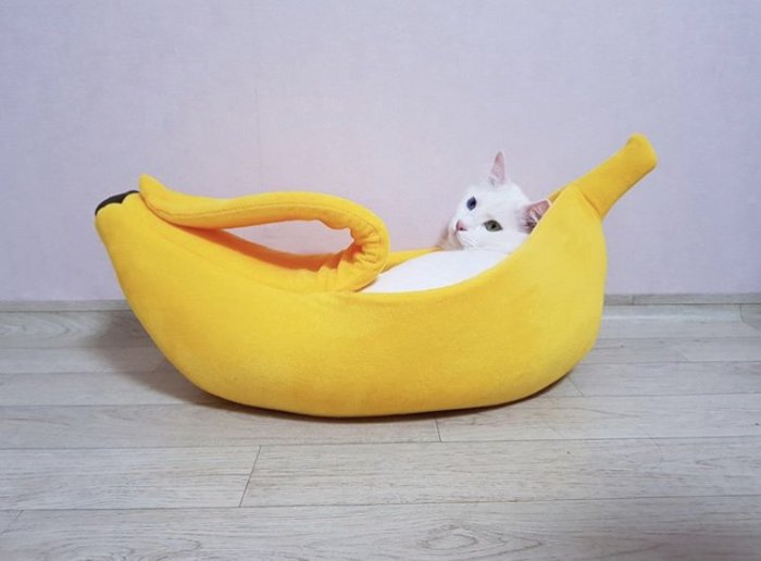 倉庫現貨出貨日本同款香蕉貓窩寵物狗窩香蕉窩封閉式保暖泰迪狗窩香蕉船貓咪床