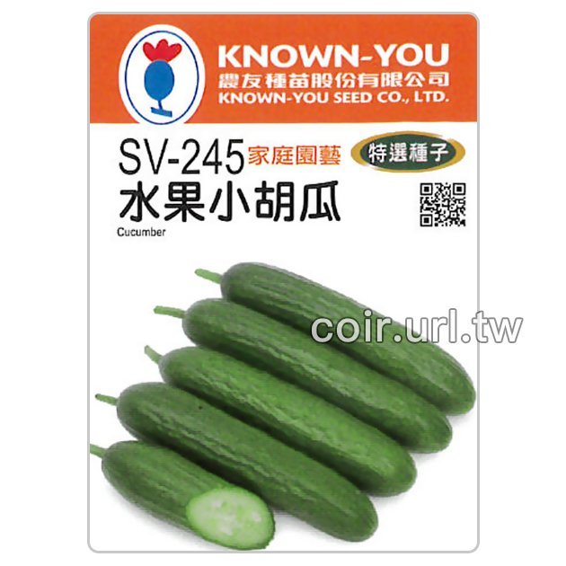 ～全館滿790免運～ 水果小胡瓜種子(水果小黃瓜) Cucumber -約20粒【熊森活】