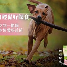 【阿肥寵物生活】美國第一品牌Pet Natura1s 寶天然健康嚼錠 - 腸胃好好