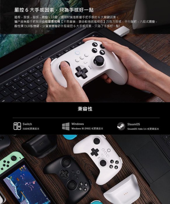 任天堂 SWITCH NS PC 八位堂 獵戶座 無線 藍芽 手把 霍爾搖桿 背鍵模組 2.4G接收器 充電底座 公司貨