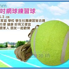 =海神坊=2.5吋網球練習球 63mm 網球 家庭 學校 學生社團練習 戶外 運動 初學者專用 120入3500元免運