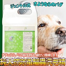 【🐱🐶培菓寵物48H出貨🐰🐹】台灣製造Dirty Dog《犬用》純天然防蚤驅蟲洗毛精-1加侖/瓶 特價3500元