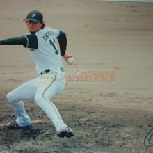貳拾肆棒球-2008BBM日本職棒北海道火腿 達比修