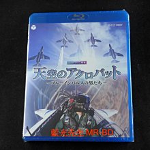 [藍光先生BD] 航空自衛隊 : 特技飛行 天空のアクロバット ～ ブルーインパルスの男たち ～