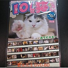 [藍光BD] - 101隻貓 101匹猫ちゃん 精裝書本版