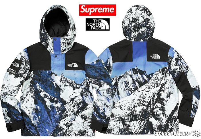 超搶手】現貨2017 Supreme The North Face Mountain Parka TNF雪山風衣