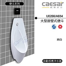 附發票 含稅 CAESAR凱撒 大型掛壁式便斗U0266/A654  管徑5CM 純白 《中部免運》