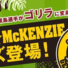 貳拾肆棒球-日本帶回日職棒阪神虎城島健司McKENZIE螢幕保護擦造型手機吊飾