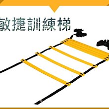 運動訓練輔助器材 6公尺 敏捷訓練梯 敏捷梯 繩梯 協調性訓練  足球訓練 拳擊 速度訓練 核心【RF12】