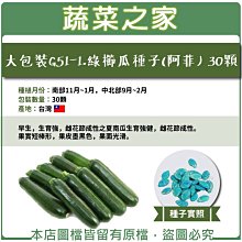 【蔬菜之家滿額免運00G51-1】大包裝 綠櫛瓜(阿菲)種子30顆 (生育強，果實短棒形)※不適用郵寄掛號配送