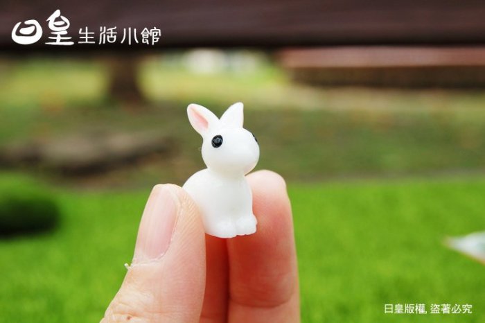 【日皇二館】zakka 小兔子 拍攝道具 微景觀 造景 多肉盆栽 裝飾 DIY 微景觀 公仔 擺飾 小白兔 療癒