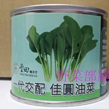 【野菜部屋~中包裝】E72 佳圓油菜種子3兩罐裝 , 株型直立 , 葉柄粗 , 採收快 , 每包250元~