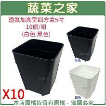 【蔬菜之家滿額免運】透氣加高型四方盆5吋10個/組(黑色.白色共2色)※此商品運費請選宅配※