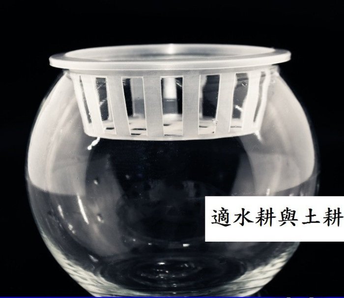 坡璃花瓶 圓球 水耕 植物栽培皿 小號