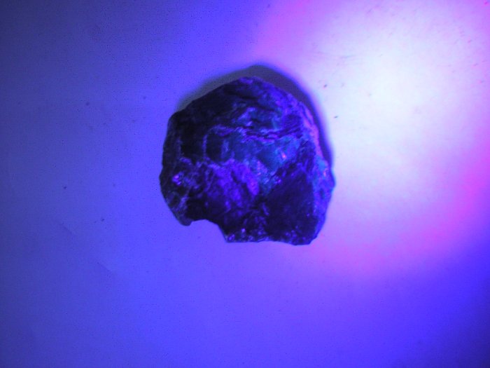【尋寶坊】藍珀原礦~長34.5mm《低起標.無底價》~