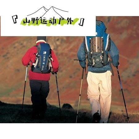 【山野運動戶外】Cleye鋁合金避震T柄登山杖柺杖手杖戶外徒步旅遊用品