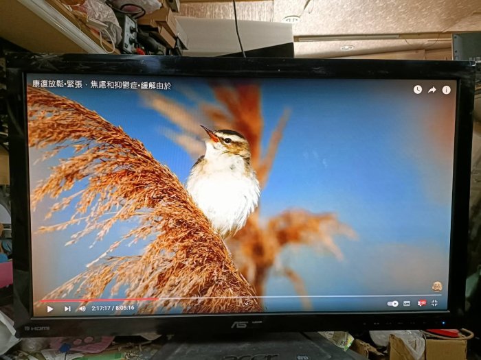 大台北 永和 二手 27吋螢幕 27吋 ASUS 華碩 VS278Q VGA HDMI DP 內建喇叭 無底座