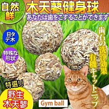 【🐱🐶培菓寵物48H出貨🐰🐹】自然鮮系列》木天蓼健身球貓玩具NF-012 特價79元