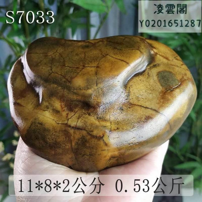 【奇石 雅石】精美大灣石大化石寶磬天然小品石柳州特產奇石S135石把件一件凌雲閣雅石