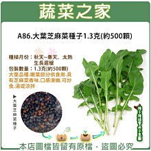 【蔬菜之家滿額免運】A86.大葉芝麻菜種子1.3克(約500顆)(大葉品種.蔬菜種子.嫩葉部分供食用.有芝麻菜香味)