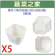 【蔬菜之家滿額免運】景天八角方型盆2.5吋-白色(3號)5個/組※此商品運費請選宅配※