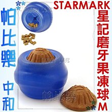 ◇帕比樂◇美國STARMARK星記玩具-藍色磨牙果凍球【M號】抗憂鬱Kong，不含磨牙餅