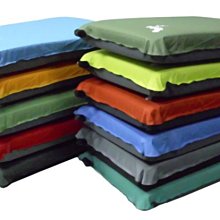 【大山野營】Foam-Tex PI-102 規則型自動充氣枕頭 充氣枕 露營枕頭 可壓縮 顏色隨機